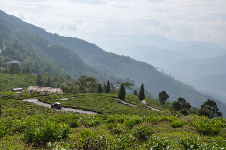 Hill road through Tinchuley, Darjeeling